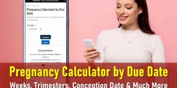 Pregnancy Calculator by Due Date: Calculate Weeks, Trimester, Conception Date