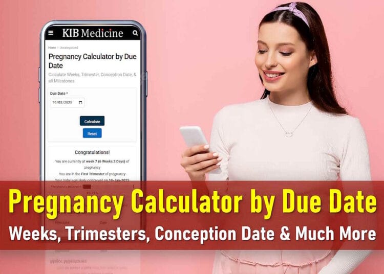 Pregnancy Calculator by Due Date: Calculate Weeks, Trimester, Conception Date