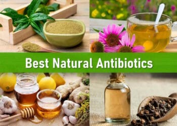 natural antibiotics for infection, herbal antibiotics, strongest natural antibiotic for humans