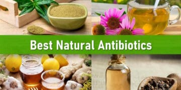 natural antibiotics for infection, herbal antibiotics, strongest natural antibiotic for humans